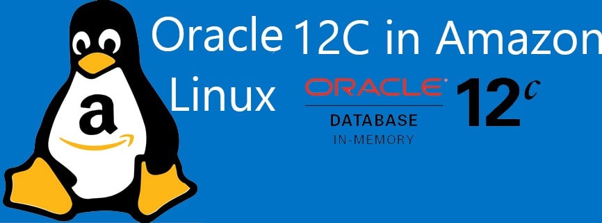 How To Install Oracle 12C on Amazon Linux In Silent Mode