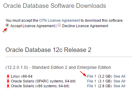 How To Install Oracle 12C on Amazon Linux In Silent Mode