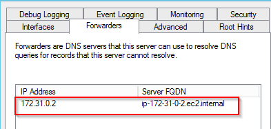 Windows Server 2016 In AWS Unable To Resolve Public And Local DNS