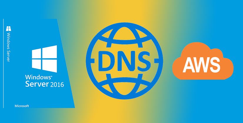 Why Windows Server 16 In Aws Unable To Resolve Public And Local Dns